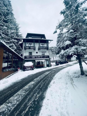 Cabana Din Poienita Braşov